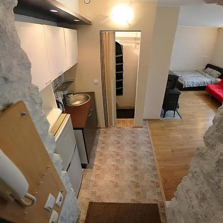 Quiet Kadriorg Street アパート