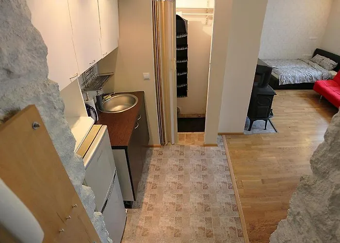 Quiet Kadriorg Street アパート